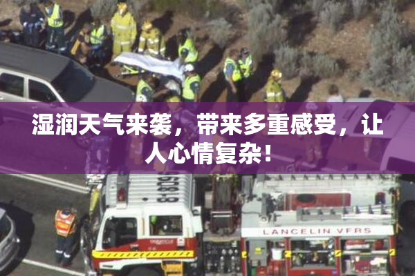 湿润天气来袭，带来多重感受，让人心情复杂！