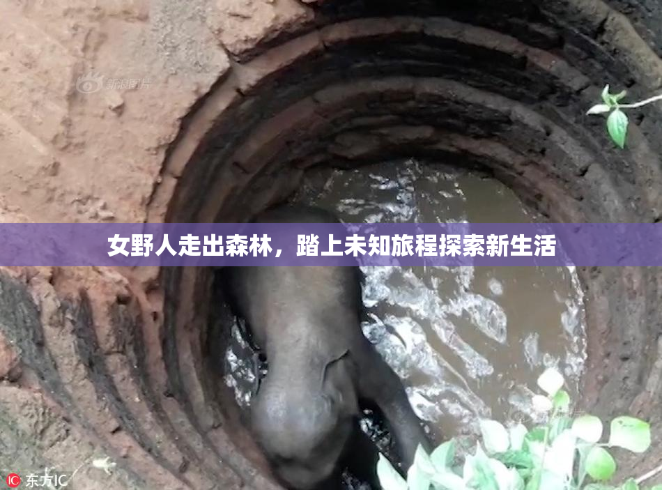 女野人走出森林，踏上未知旅程探索新生活