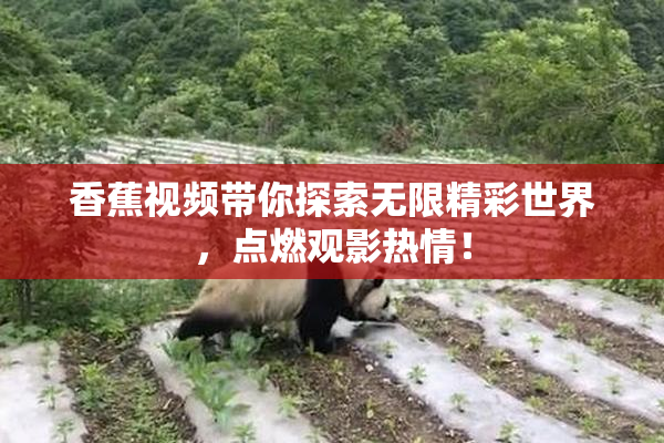 香蕉视频带你探索无限精彩世界，点燃观影热情！