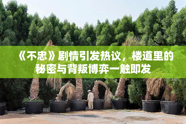 《不忠》剧情引发热议，楼道里的秘密与背叛博弈一触即发