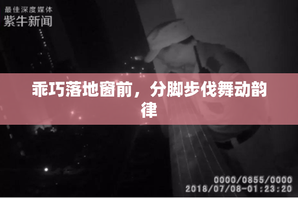 乖巧落地窗前，分脚步伐舞动韵律