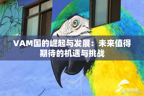 VAM国的崛起与发展：未来值得期待的机遇与挑战