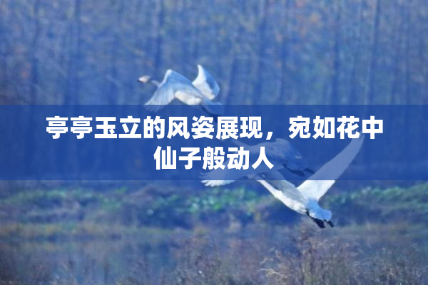 亭亭玉立的风姿展现，宛如花中仙子般动人