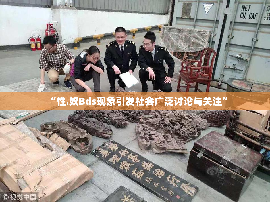 “性.奴Bds现象引发社会广泛讨论与关注”