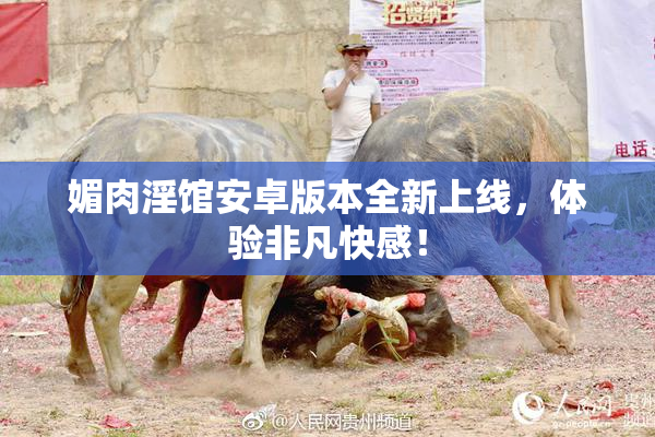 媚肉淫馆安卓版本全新上线，体验非凡快感！