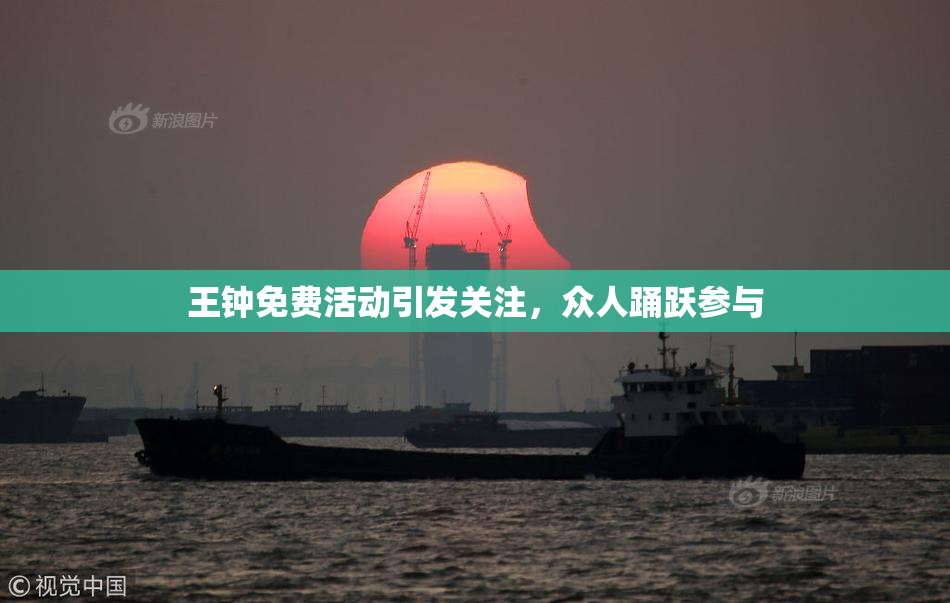 王钟免费活动引发关注，众人踊跃参与