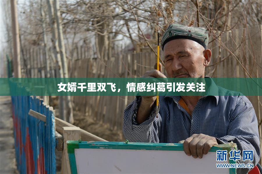 女婿千里双飞，情感纠葛引发关注