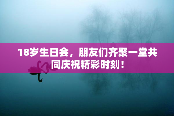 18岁生日会，朋友们齐聚一堂共同庆祝精彩时刻！