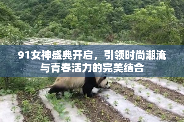 91女神盛典开启，引领时尚潮流与青春活力的完美结合