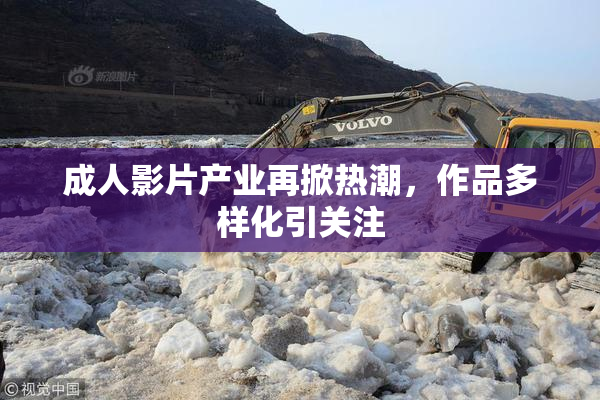 成人影片产业再掀热潮，作品多样化引关注