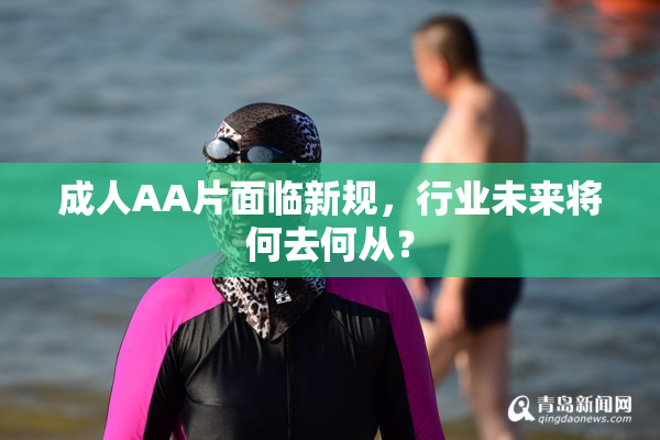 成人AA片面临新规，行业未来将何去何从？