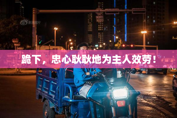 跪下，忠心耿耿地为主人效劳！