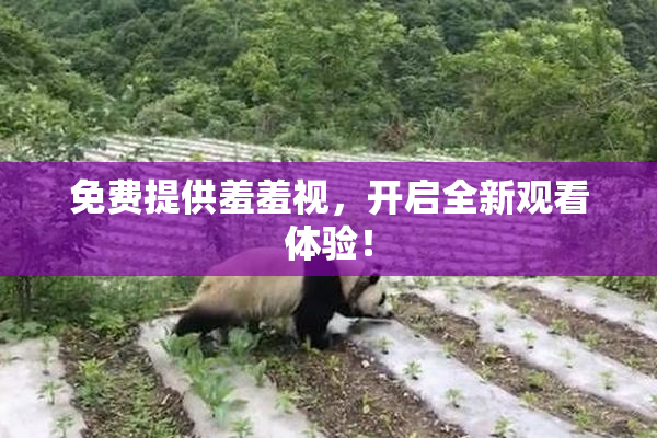 免费提供羞羞视，开启全新观看体验！