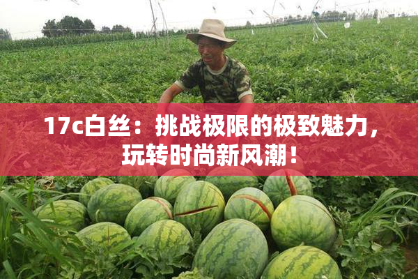 17c白丝：挑战极限的极致魅力，玩转时尚新风潮！