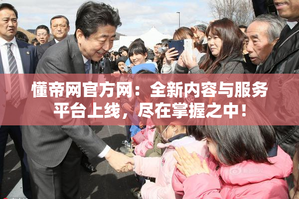 懂帝网官方网：全新内容与服务平台上线，尽在掌握之中！