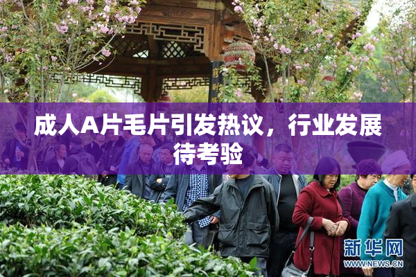 成人A片毛片引发热议，行业发展待考验