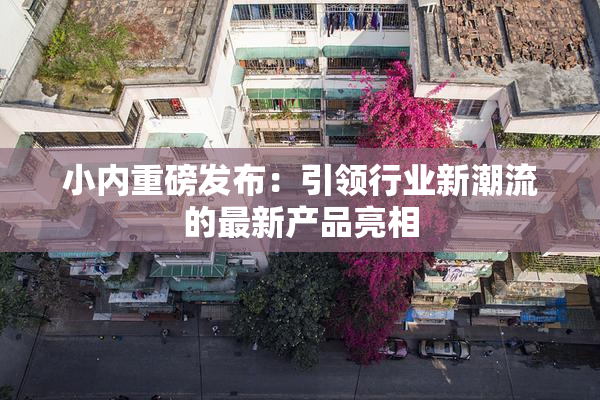小内重磅发布：引领行业新潮流的最新产品亮相