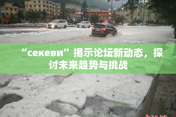“ceкеви”揭示论坛新动态，探讨未来趋势与挑战