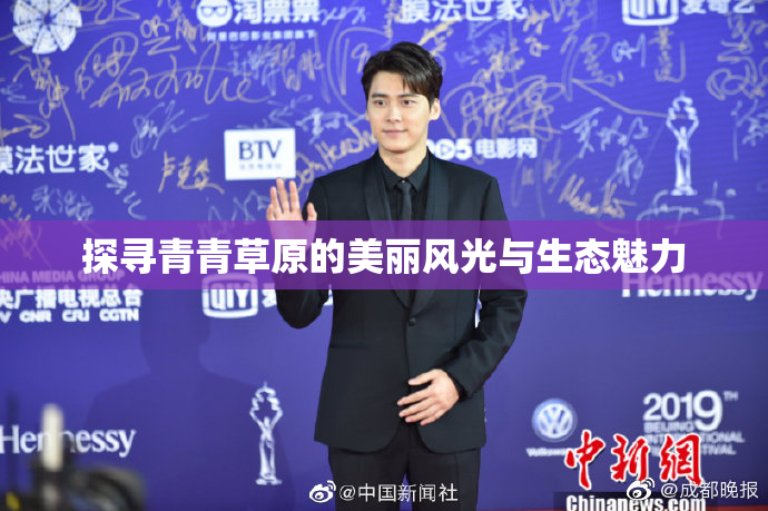 探寻青青草原的美丽风光与生态魅力