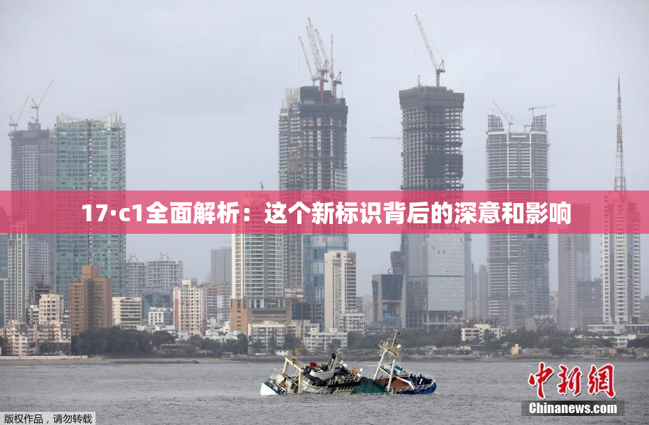 17·c1全面解析：这个新标识背后的深意和影响