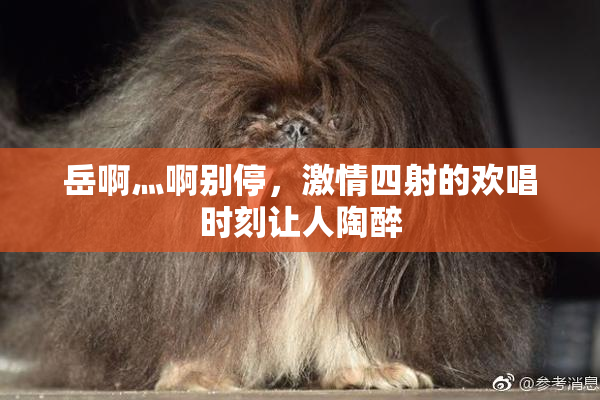 岳啊灬啊别停，激情四射的欢唱时刻让人陶醉