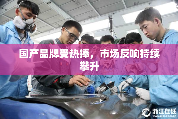 国产品牌受热捧，市场反响持续攀升