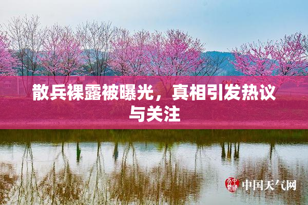 散兵裸露被曝光，真相引发热议与关注