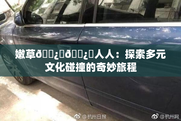 嫩草🌿‌🌿‌人人：探索多元文化碰撞的奇妙旅程