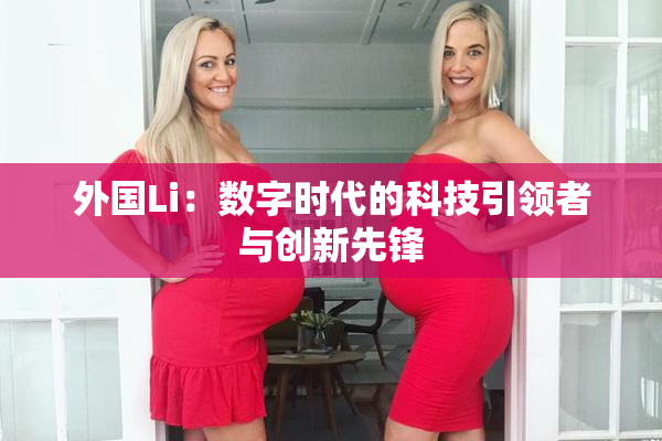 外国Li：数字时代的科技引领者与创新先锋
