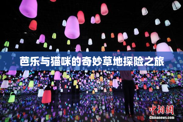 芭乐与猫咪的奇妙草地探险之旅