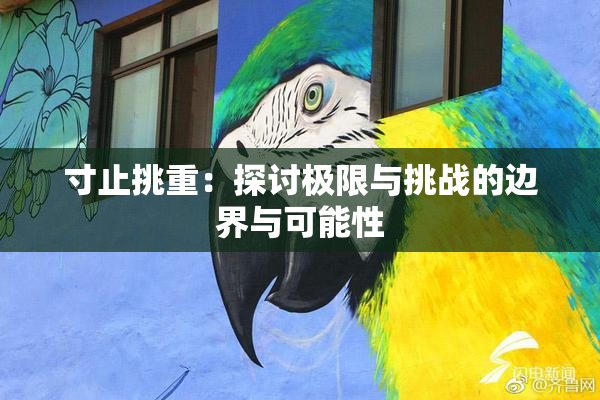 寸止挑重：探讨极限与挑战的边界与可能性