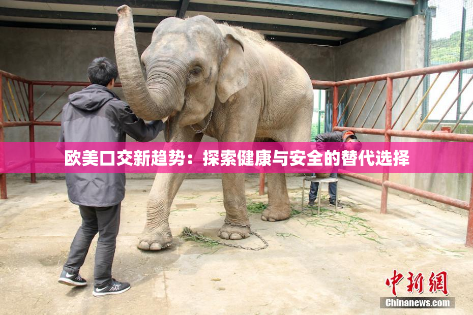 欧美口交新趋势：探索健康与安全的替代选择