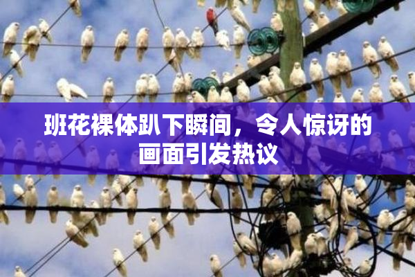 班花裸体趴下瞬间，令人惊讶的画面引发热议