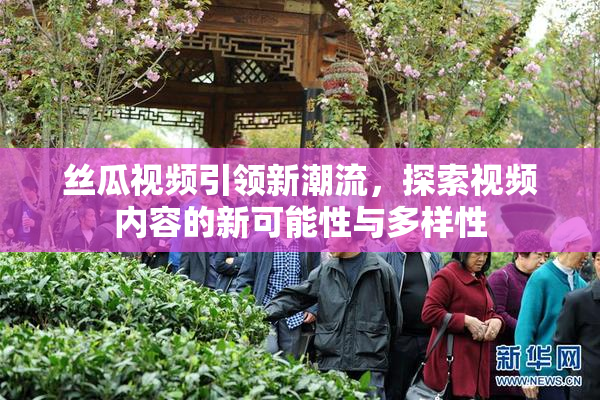 丝瓜视频引领新潮流，探索视频内容的新可能性与多样性