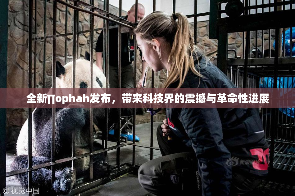 全新∏ophah发布，带来科技界的震撼与革命性进展