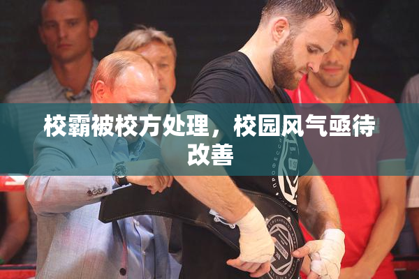 校霸被校方处理，校园风气亟待改善