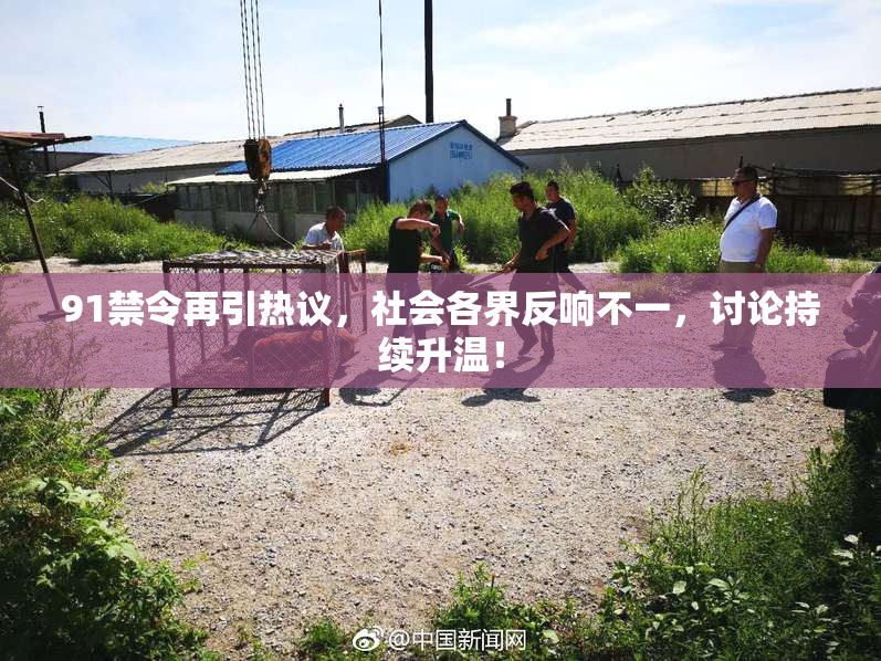91禁令再引热议，社会各界反响不一，讨论持续升温！