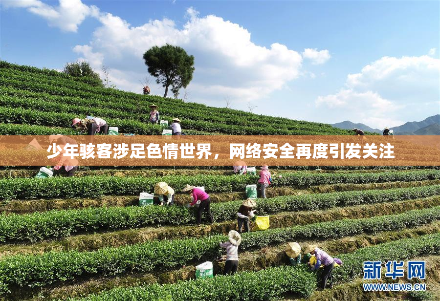 少年骇客涉足色情世界，网络安全再度引发关注