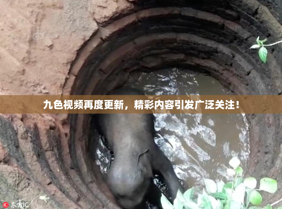 九色视频再度更新，精彩内容引发广泛关注！