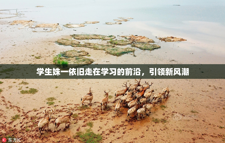 学生姝一依旧走在学习的前沿，引领新风潮