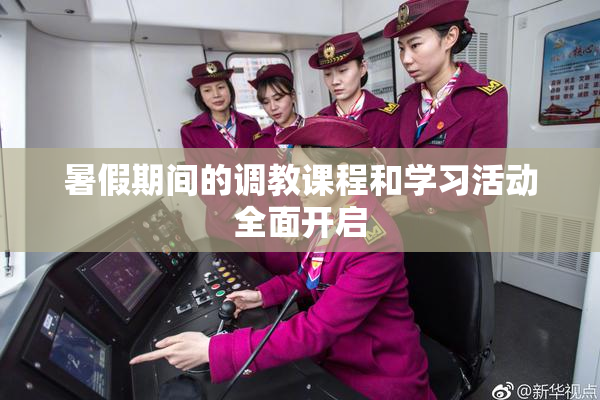 暑假期间的调教课程和学习活动全面开启