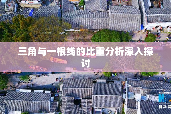 三角与一根线的比重分析深入探讨