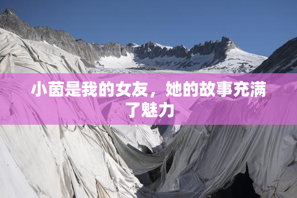 小茵是我的女友，她的故事充满了魅力