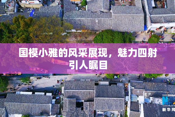 国模小雅的风采展现，魅力四射引人瞩目