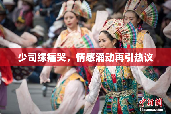 少司缘痛哭，情感涌动再引热议