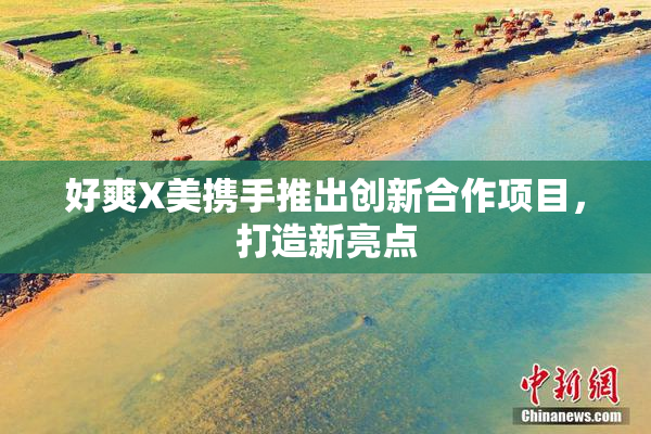 好爽X美携手推出创新合作项目，打造新亮点