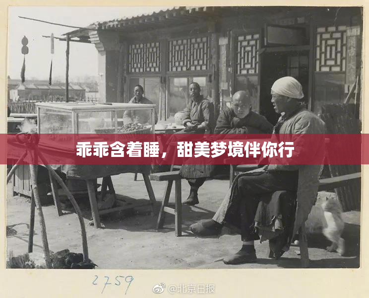 乖乖含着睡，甜美梦境伴你行