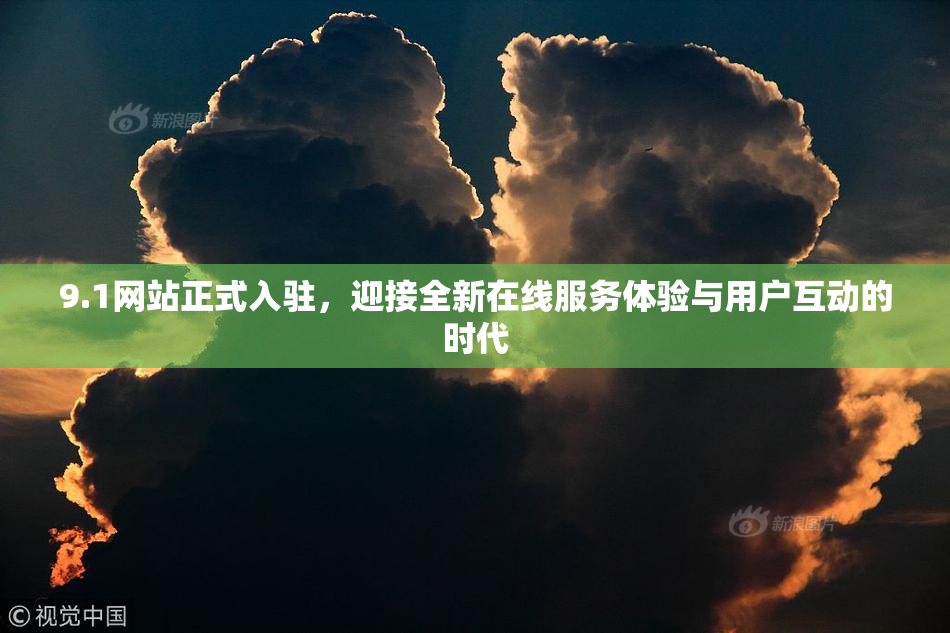 9.1网站正式入驻，迎接全新在线服务体验与用户互动的时代