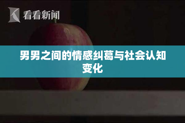 男男之间的情感纠葛与社会认知变化