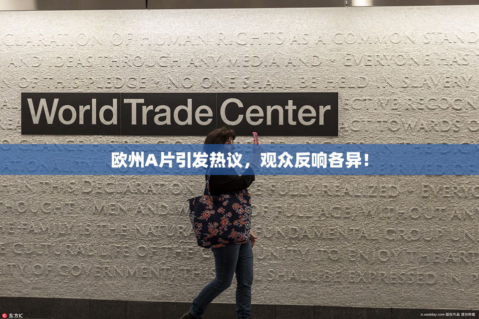欧州A片引发热议，观众反响各异！